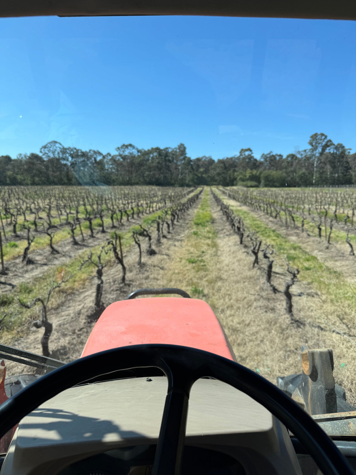 Harvest Time Hunter Valley 